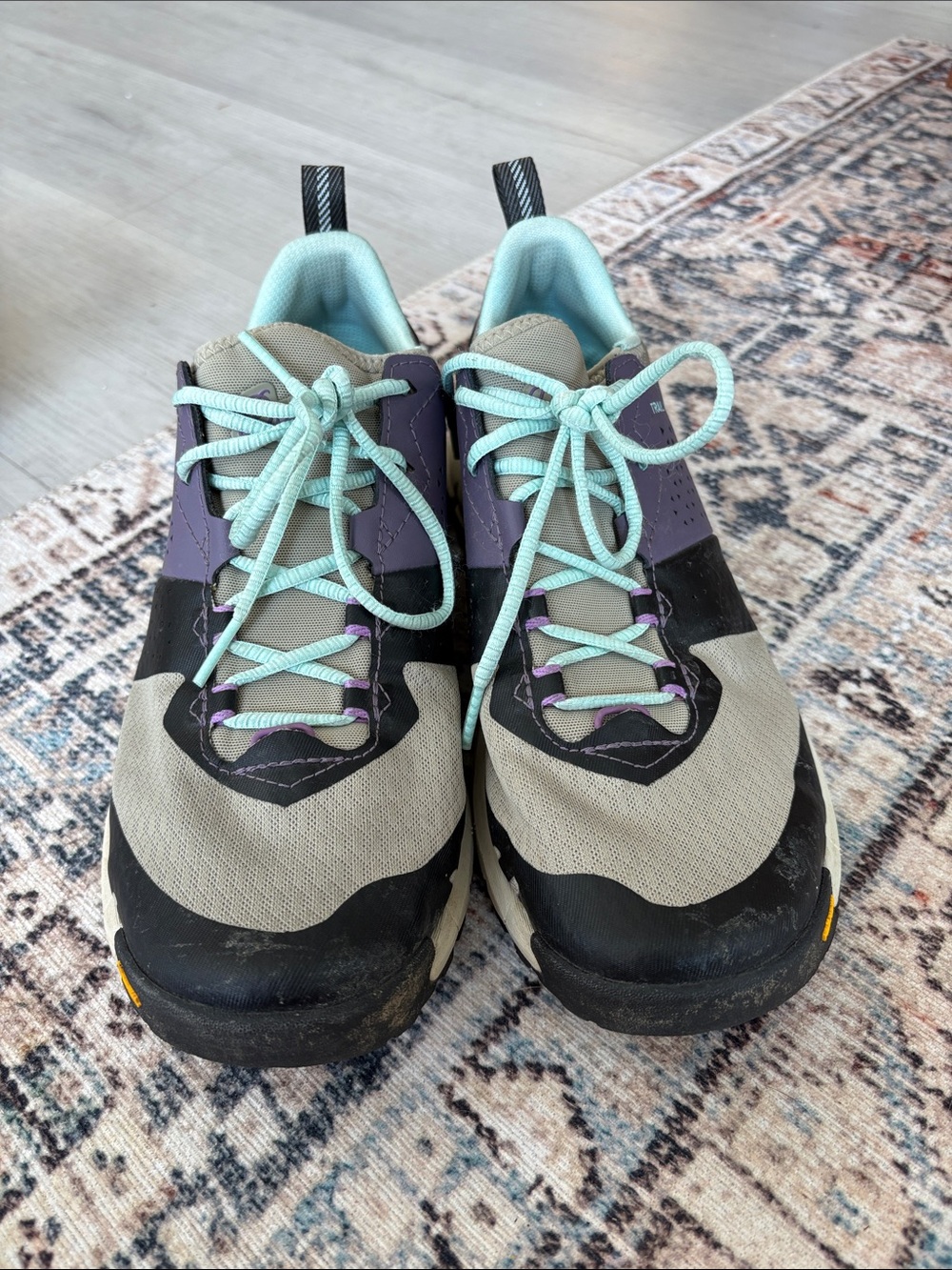 Danner trail 2650 Campo shoe